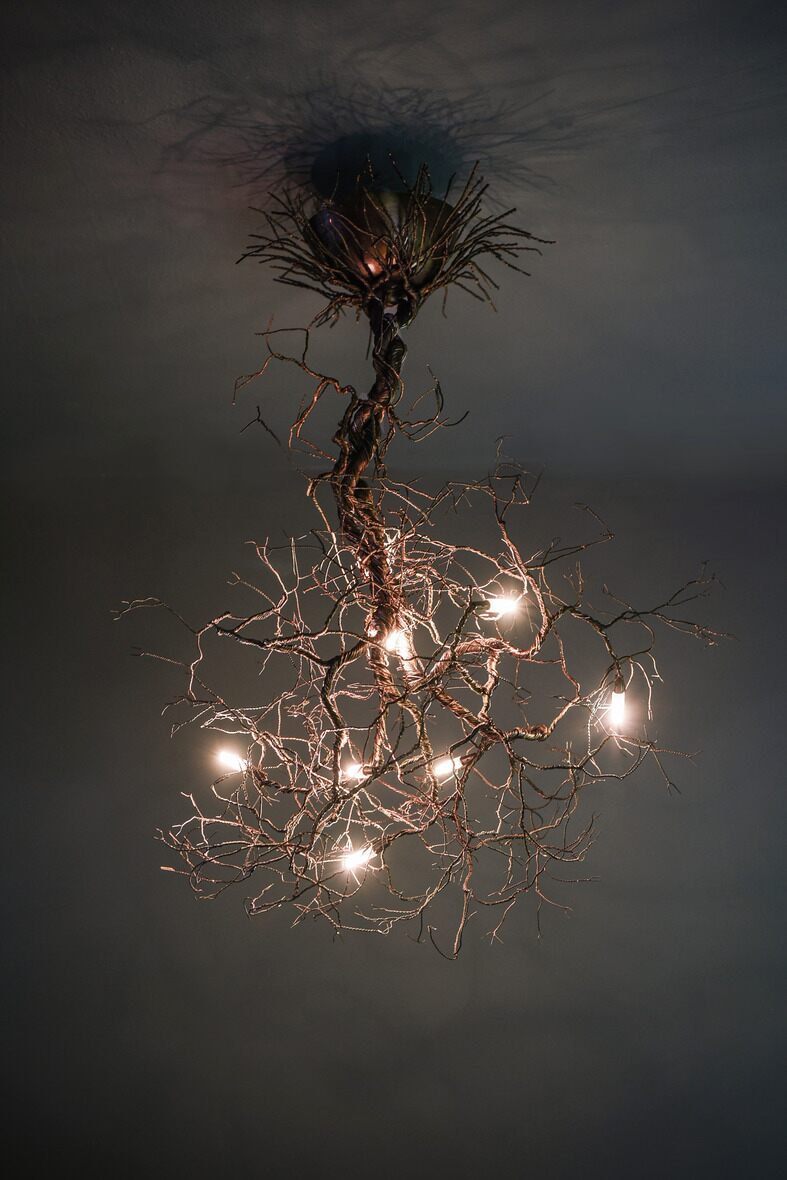 Root Branch - Ceiling Light fixture